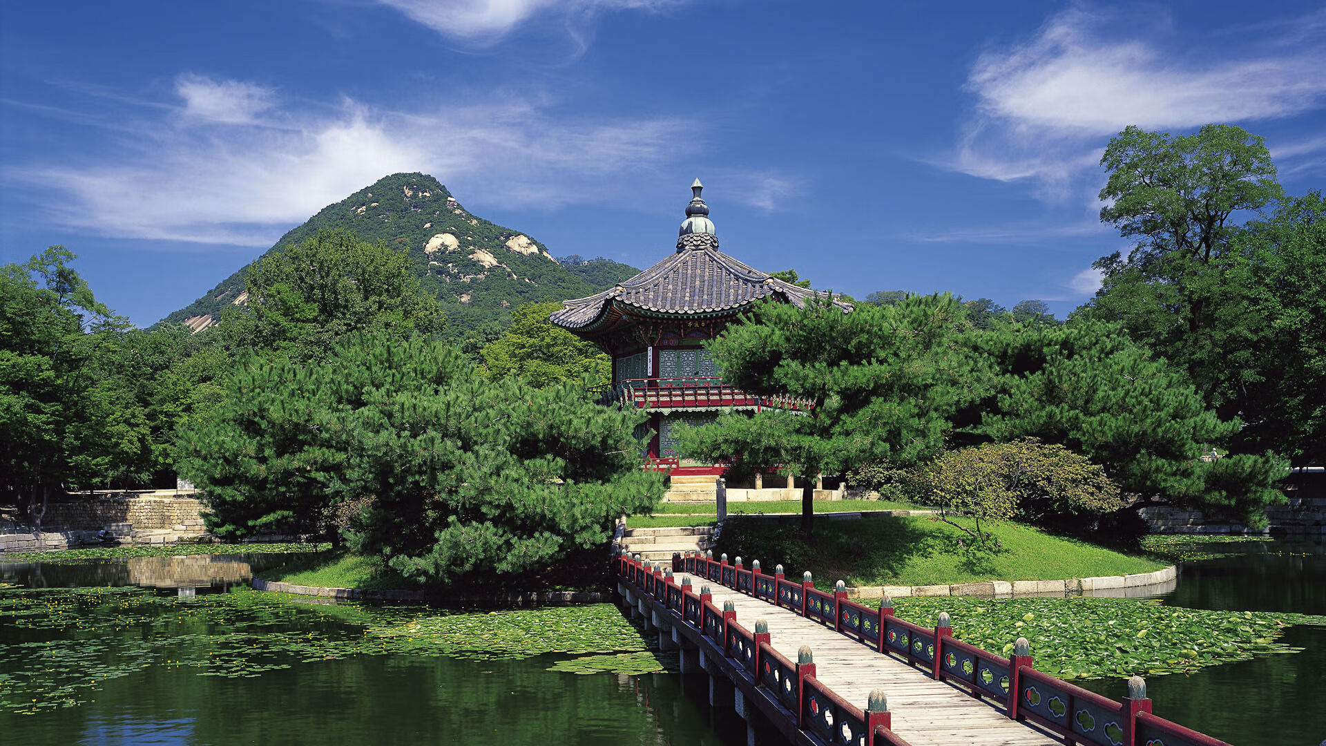 双重奏，金玟哉的爆发与阿根廷对土耳其的战术稳赢