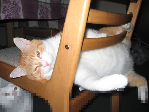 锡安暴雨中逆天改命!尼克斯破百年来最诡异纪录,淘汰赛首轮碾过掘金