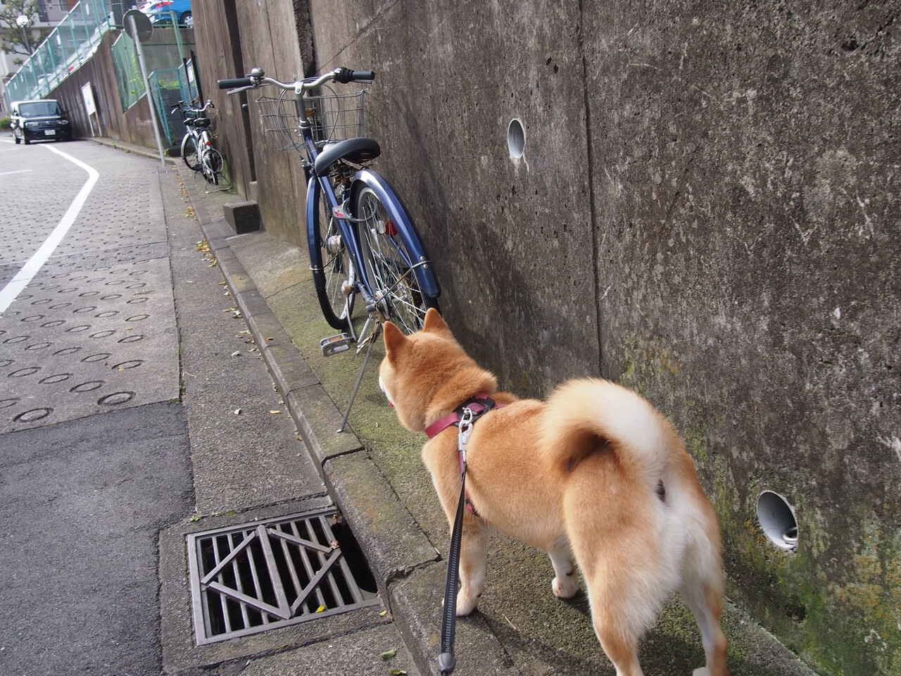 舞台的灯光,与计时钟的最后一响