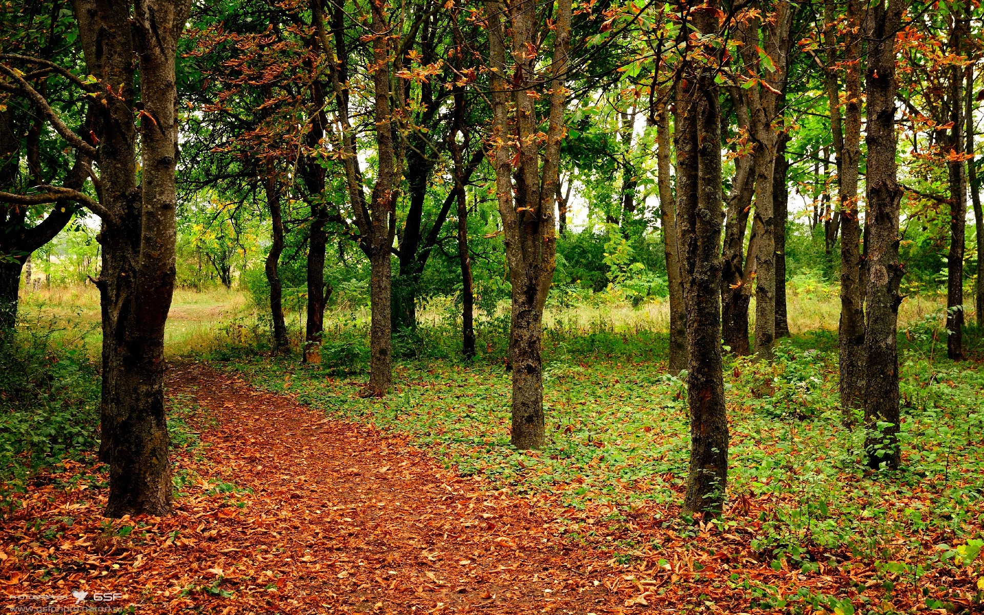 开云体育-欧洲新王遇旧主，降维打击！卢卡库世界杯单骑接管美加墨之战