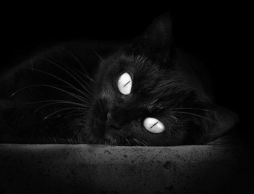 脑机接口颠覆绿茵场？黄喜灿在幽灵实验赛中打出非人数据，体育伦理遭遇终极挑战