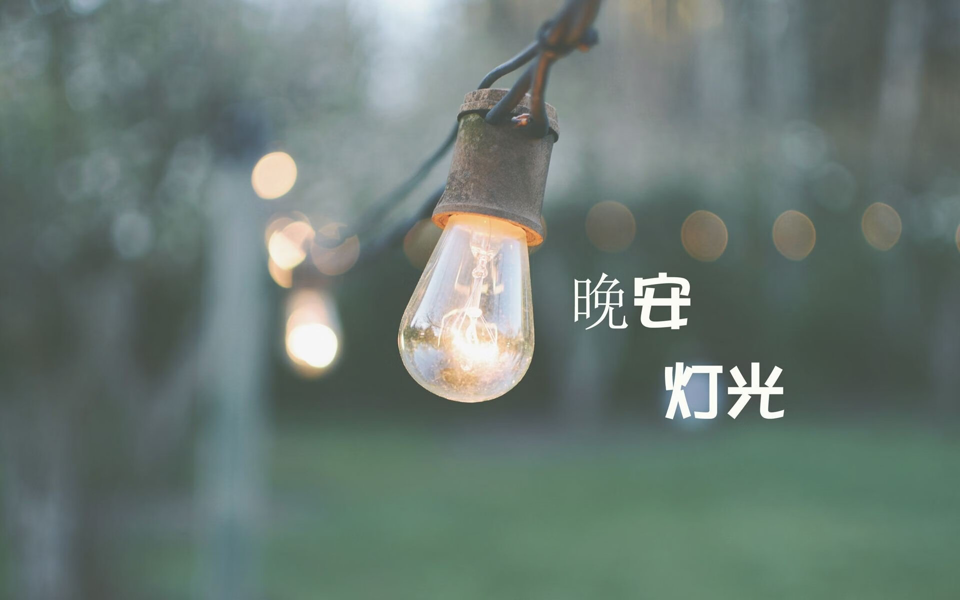 钢铁与弧线的博弈,2026世界杯C组,德国战车碾碎北非之狐,苏亚雷斯独舞成绝唱