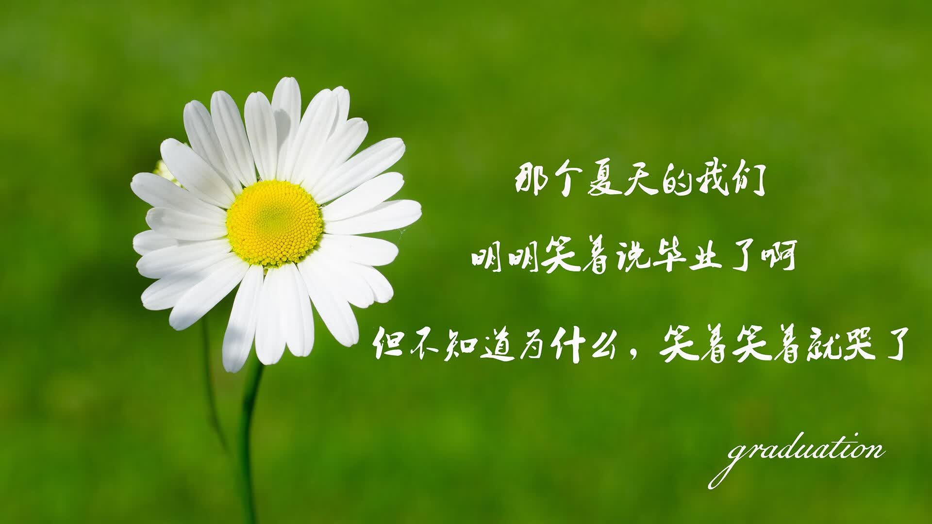 冰岛火山撞上瑞士钟表，一场世界杯上的冰冷碾压与B费的炽热独舞